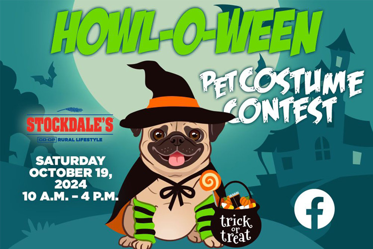 Stockdale's Pet Halloween Costume Contest